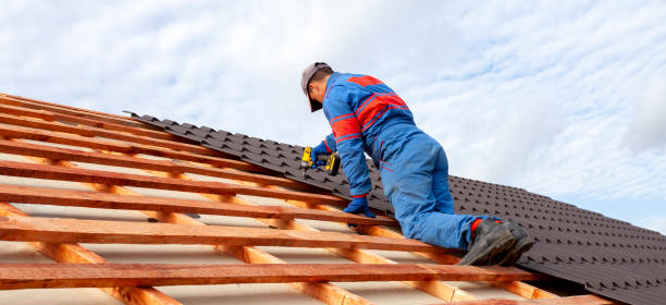 Best Roof Insulation Installation  in Edwardsville, KS