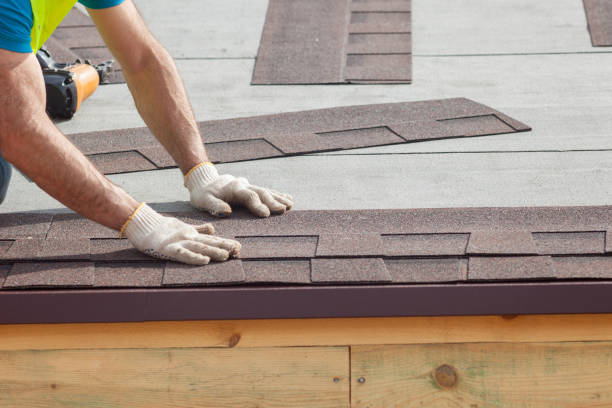 Best Roof Leak Repair  in Edwardsville, KS
